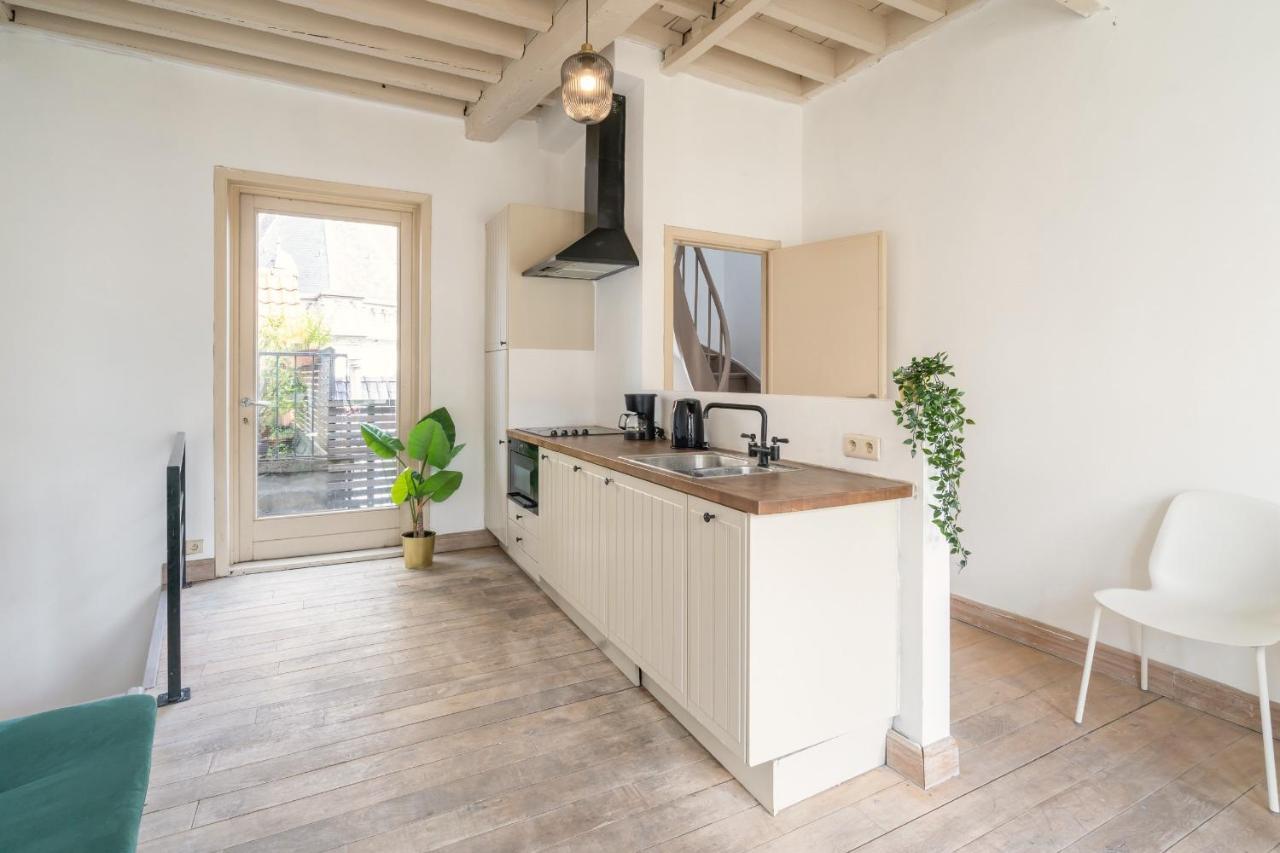 Tempel Triplex & Duplex At Historic Heart Of Antwerp