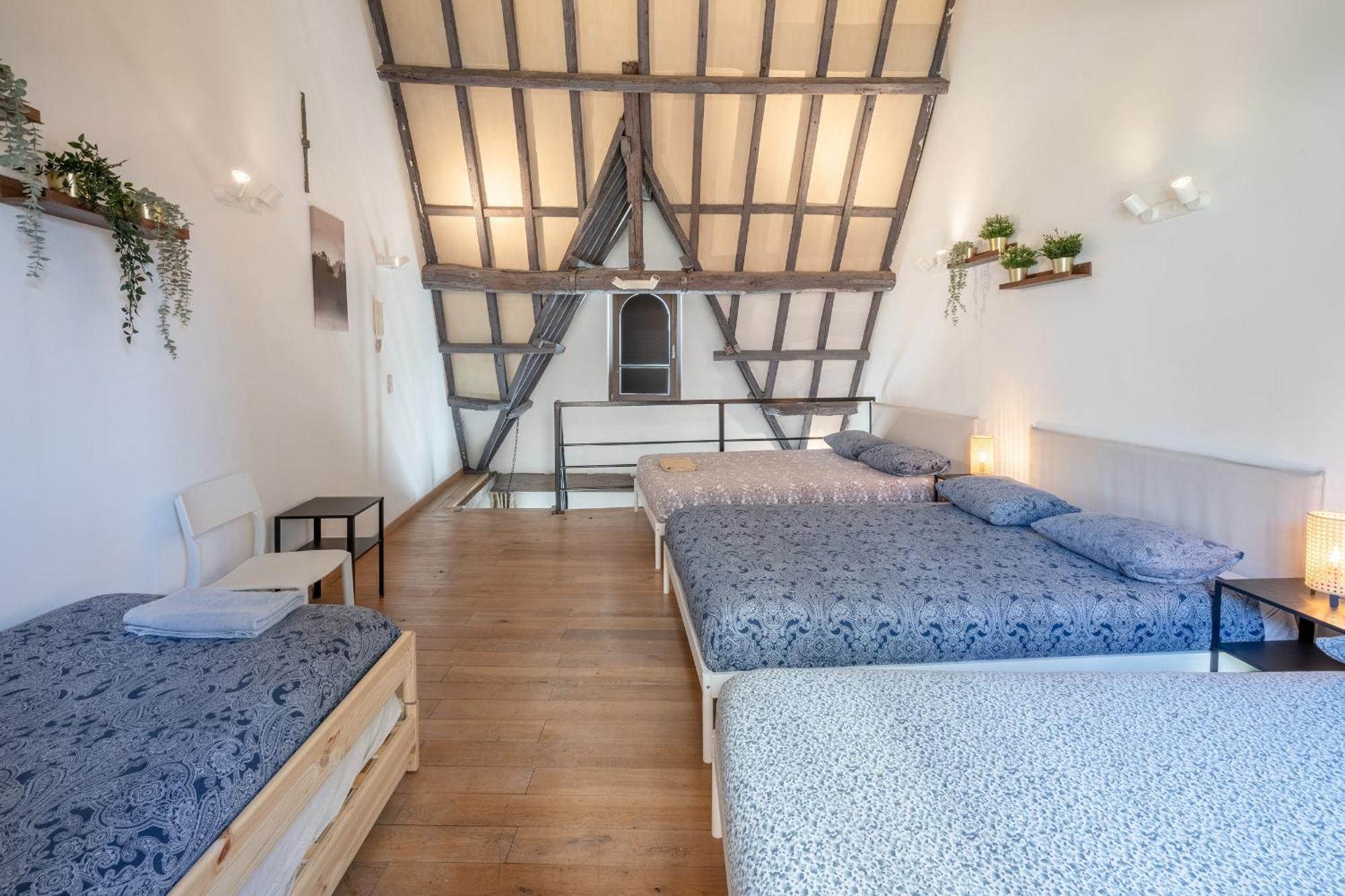 Tempel Triplex & Duplex At Historic Heart Of