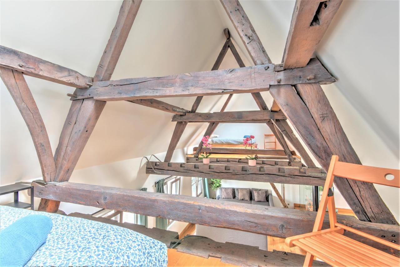 Tempel Triplex & Duplex At Historic Heart Of * Amberes